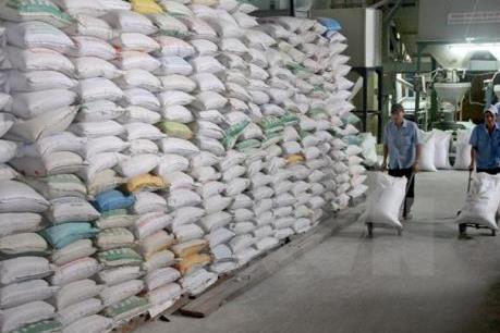 Long An đối thoại trực tiếp với các doanh nghiệp xuất khẩu gạo