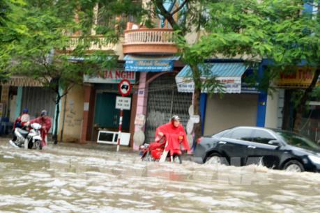 Bão số 10: Hải Phòng ngập lụt nghiêm trọng ở nhiều nơi