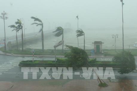 Quảng Bình gồng mình gượng dậy sau “siêu bão” số 10