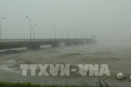 Bộ trưởng Nguyễn Xuân Cường chỉ đạo theo dõi chặt diễn biến bão số 11