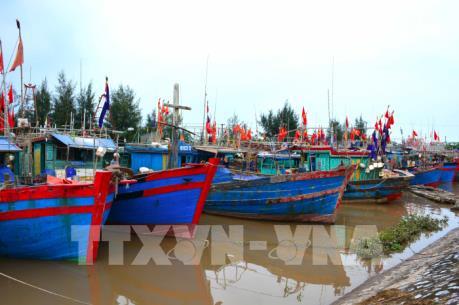 Nghệ An cho phép ngư dân ra khơi đánh bắt thủy sản trở lại