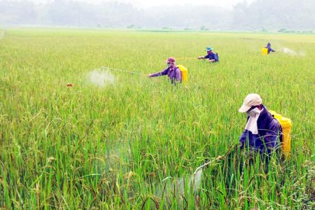 Mỗi năm Việt Nam nhập khoảng 700 triệu USD thuốc trừ sâu và nguyên liệu