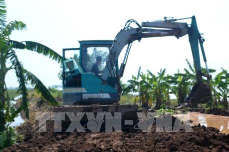 Tranh thủ sản xuất đảm bảo nguồn cung rau xanh sau mưa bão