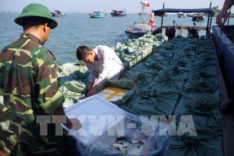 Quảng Ninh: Liên tiếp bắt giữ 3 vụ vận chuyển cá nhập lậu