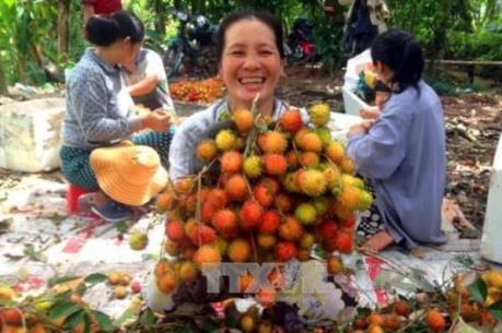 Hơn 27.000 hộ nông dân đạt thu nhập trên 1 tỷ đồng một năm