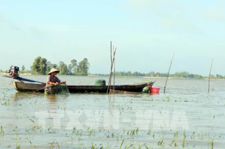 Đồng bằng sông Cửu Long mùa nước nổi - Bài 1: Sinh kế của người nghèo