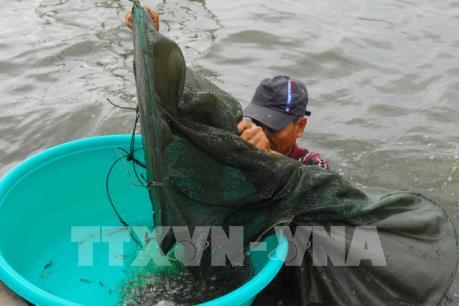 Đồng bằng sông Cửu Long mùa nước nổi - Bài cuối: Chuyển đổi sinh kế và quản trị nguồn nước