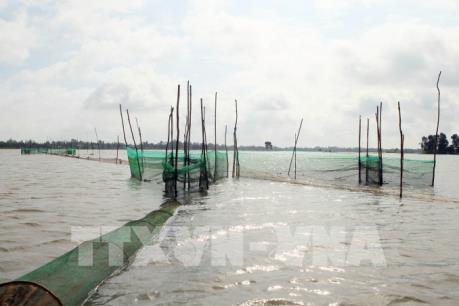 Đồng bằng sông Cửu Long mùa nước nổi - Bài 3: Sẽ không còn mùa lũ “đẹp”