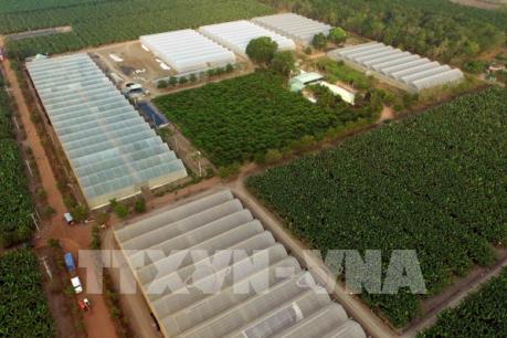 Thái Lan dành nhiều ưu đãi đặc biệt cho nông nghiệp hiện đại