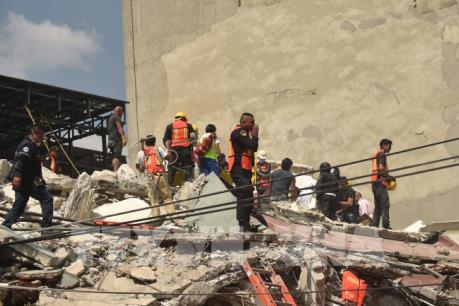 Mexico: Động đất mạnh 7,2 độ richter 