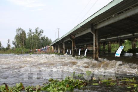 Cảnh báo đợt lũ mới trên các sông từ ngày 16/10 và nguy cơ lũ quét tại một số tỉnh