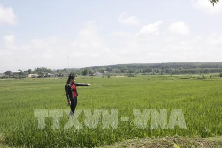 Kon Tum giải quyết tình trạng một khu đất bị “xé” thành nhiều "sổ đỏ"