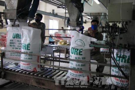 Bộ trưởng Trần Tuấn Anh: Vinachem phải rà soát lại để xử lý các dự án thua lỗ