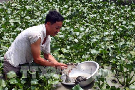 Vốn chính sách​ tạo việc làm cho gần 3,5 triệu lao động