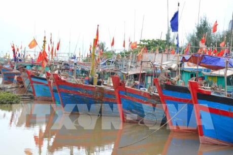 Dự báo thời tiết: Các tỉnh, thành ven chủ động ứng phó với áp thấp nhiệt đới