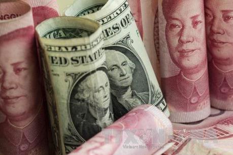 Giá USD hôm nay 23/11