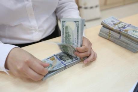 Giá USD hôm nay 13/1