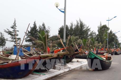 Thanh Hóa ứng phó với áp thấp nhiệt đới