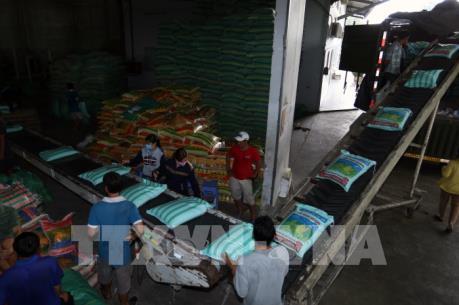 Để xuất khẩu gạo có thêm con đường mở