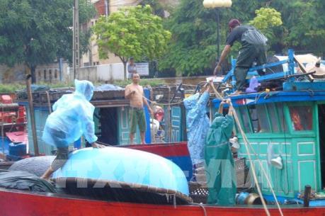 Quảng Ninh kêu gọi tàu thuyền về nơi neo đậu, tránh trú áp thấp nhiệt đới
