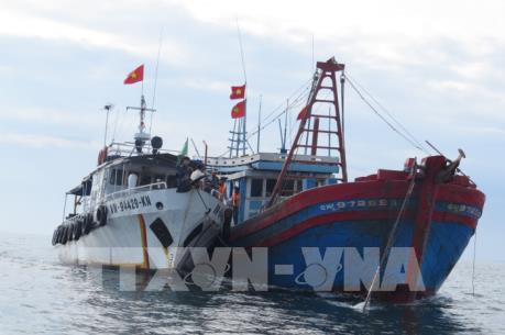 Bình Thuận xử lý tàu giã cào bay hoạt động trái phép