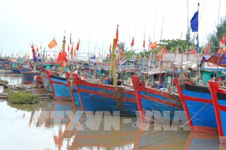 Các tàu thuyền của Thanh Hóa chủ động tìm nơi tránh trú bão số 2