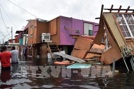 Quốc hội Mỹ thông qua gói cứu trợ thiên tai trị giá 36,5 tỷ USD