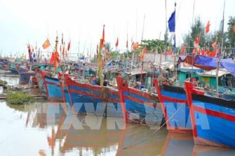 Các tỉnh Quảng Ninh, Hải Phòng và Thái Bình chủ động ứng phó áp thấp nhiệt đới