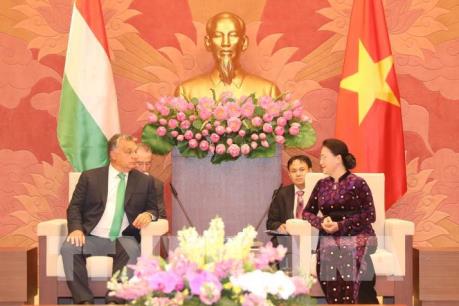 Việt Nam - Hungary tập trung hợp tác về thương mại và đầu tư