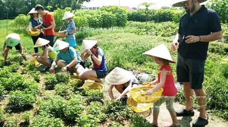 ĐẤT TRANG TRẠI BÌNH THUẬN  FARMSTAY NHÀ VƯỜN