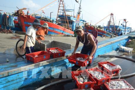 Khắc phục "thẻ vàng" IUU để phát triển bền vững ngành thuỷ sản