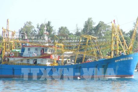 Quảng Nam xây dựng cảng cá và khu dịch vụ hậu cần cho tàu xa bờ