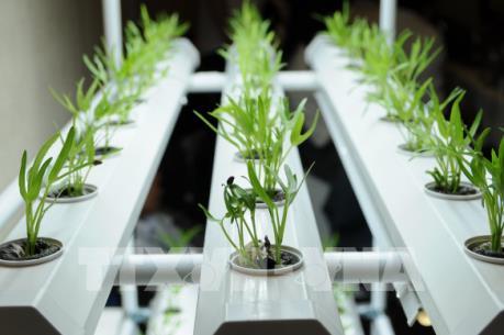 3 lý do tạo nên "cơn sốt" startup trong giới trẻ Trung Quốc