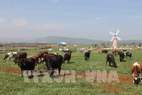 Nhà đầu tư Trung Quốc mạnh tay mua đất nông nghiệp ở nước ngoài