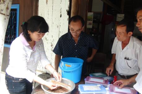 Bến Tre tăng cường biện pháp sinh học phòng tránh sâu bệnh hại dừa