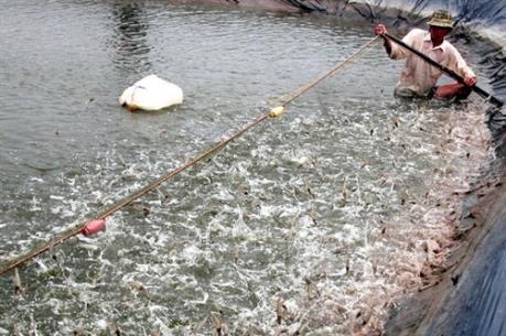 Người tiên phong đưa công nghệ nuôi trồng thủy sản ra nước ngoài