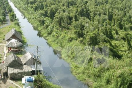 "Lộc rừng" U Minh Hạ giúp người dân cải thiện đời sống