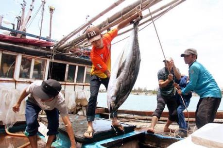 Ăn Tết trên biển quê hương