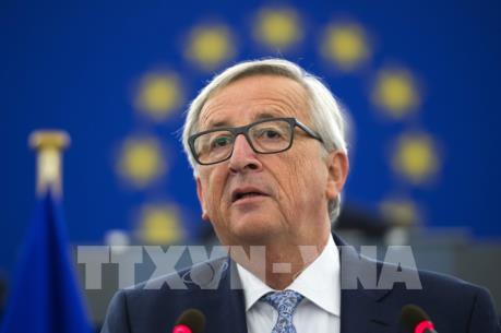 Hướng đi nào có thể củng cố sự ổn định tài chính Eurozone?