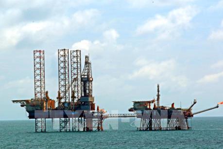 Lý do khiến tỷ suất sinh lời trên vốn chủ sở hữu của PVN giảm mạnh