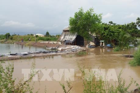 Bà Rịa - Vũng Tàu: Ao nuôi tôm thiệt hại do xả lũ hồ chứa nước Sông Ray