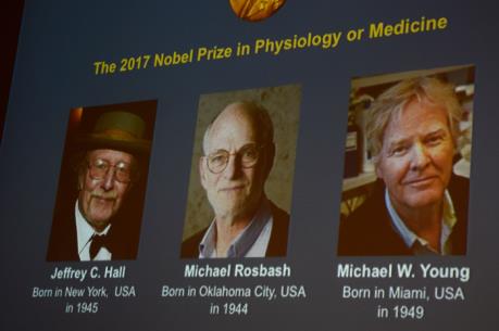 Giải Nobel Y học 2017 đã lộ diện chủ nhân