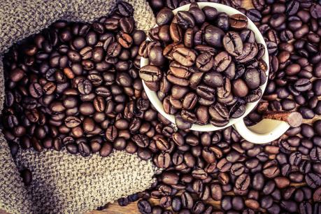 Dự báo giá cà phê tuần từ 2/10 - 7/10