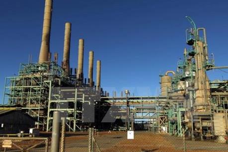 Libya tổn thất 308 triệu USD do các mỏ dầu thường xuyên bị đóng cửa