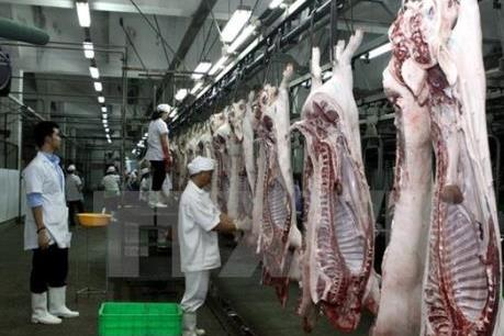 Vụ tiêm thuốc an thần cho lợn: Tăng cường kiểm soát ở các cơ sở giết mổ
