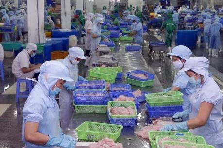 Tìm giải pháp gỡ khó cho cá tra xuất khẩu sang Mỹ