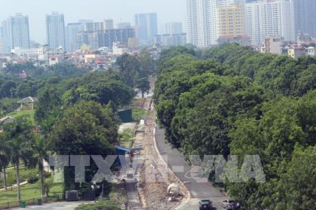 Hà Nội trồng thêm 1 triệu cây xanh vào năm 2020
