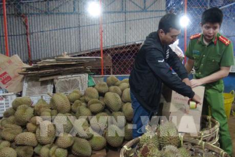 Đắk Nông: Xử phạt hành vi nhúng sầu riêng vào hóa chất độc hại ​