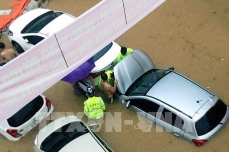 Quốc lộ 37 ngập úng cục bộ sau mưa lớn