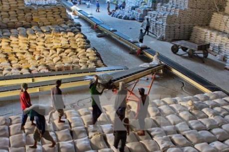 Nhiều cơ hội xuất khẩu gạo vào thị trường Mexico
